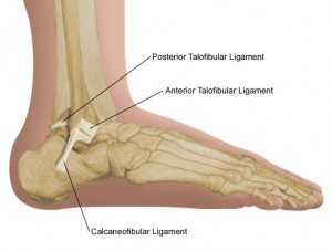 ankle-ligaments-sprains