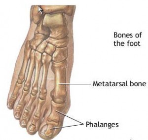 foot-bones