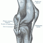 how-treat-patellar-tendon-photo